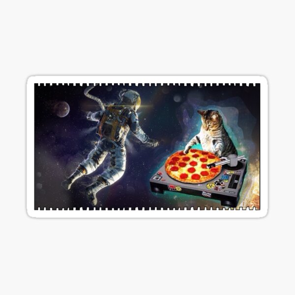 dj cat - space cat - cat pizza - cute cats oval sticker