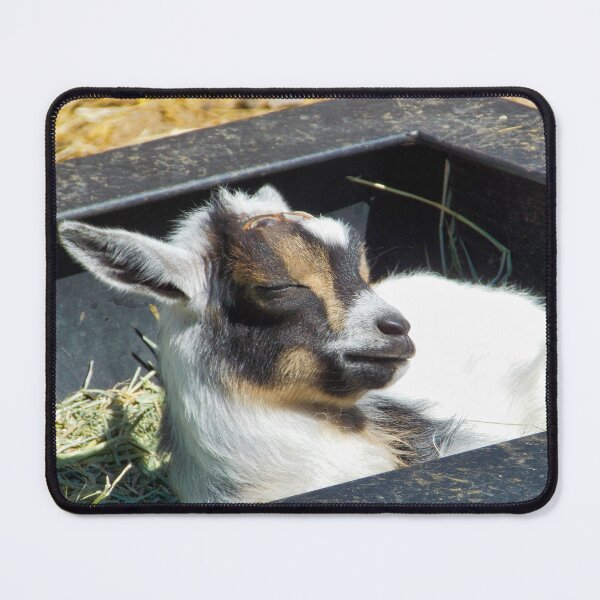 Item preview, Basking designed and sold by OnigiriSuiko.
