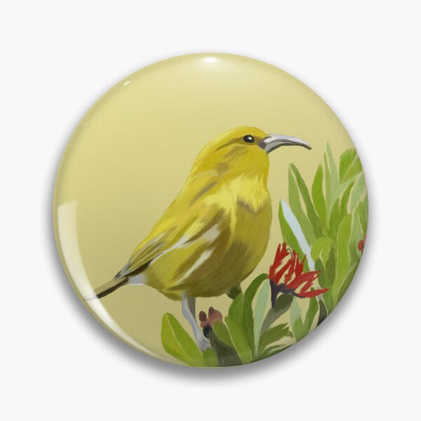 Item preview, ‘Amakihi, Hawaiian Bird designed and sold by NJartbyNJacobson.