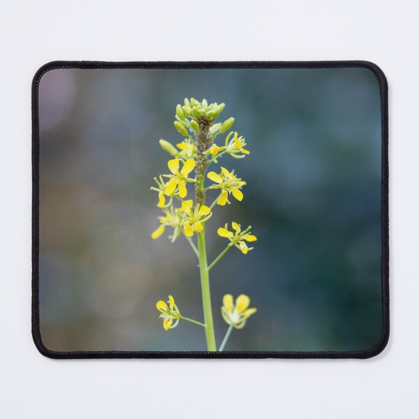 Item preview, Simple Flower designed and sold by Jacquiamber.