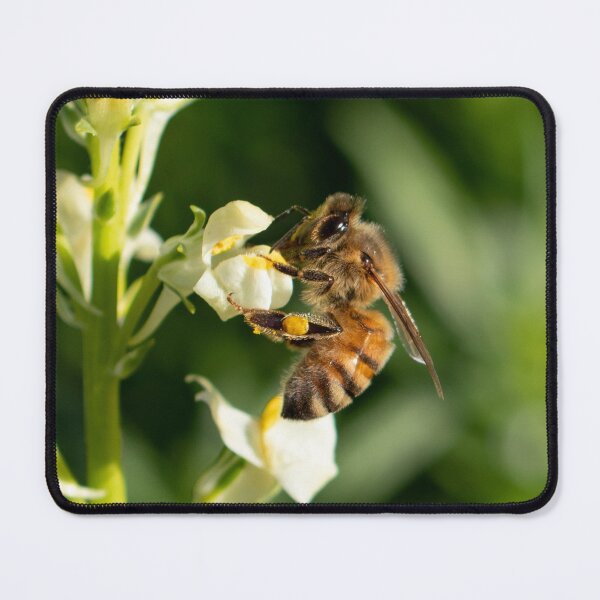 Item preview, Honey Bee 11 designed and sold by Jacquiamber.