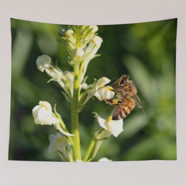 Item preview, Honey Bee 11 designed and sold by Jacquiamber.