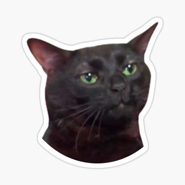 "Black Cat Zoning Out meme " Sticker for Sale by Redbubble