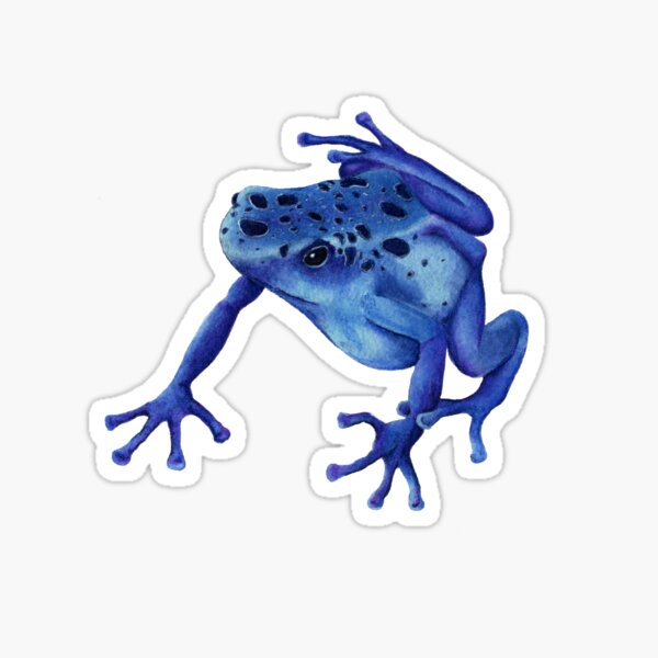 Poison Dart Frog Sticker