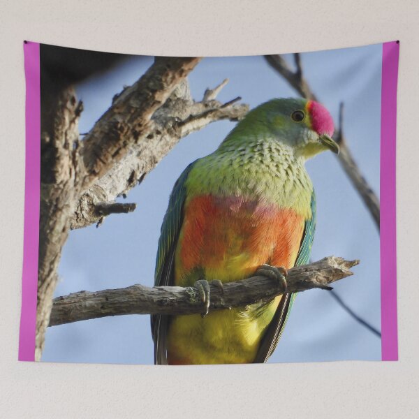 Item preview, Stunning Rose-crowned Fruit Dove  designed and sold by Mark Grimsley.