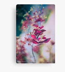 Japanese Breeze Canvas Print