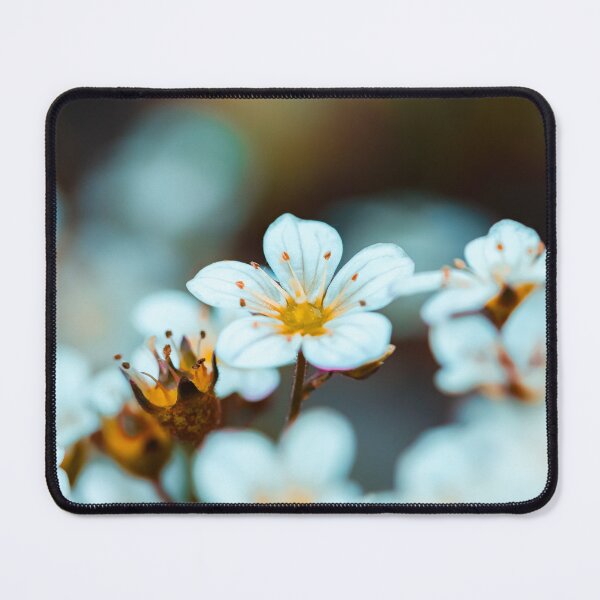 Item preview, Astmoos Saxifrage flower in the garden designed and sold by marcrolandscape.