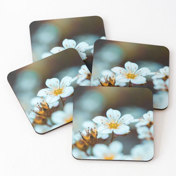 Item preview, Astmoos Saxifrage flower in the garden designed and sold by marcrolandscape.