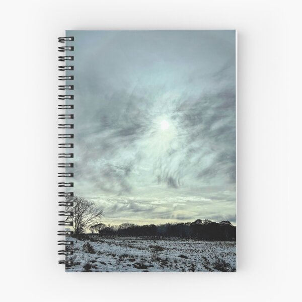 Item preview, Nature's frozen Ballet in Gooandra NSW designed and sold by SpottiClogg.