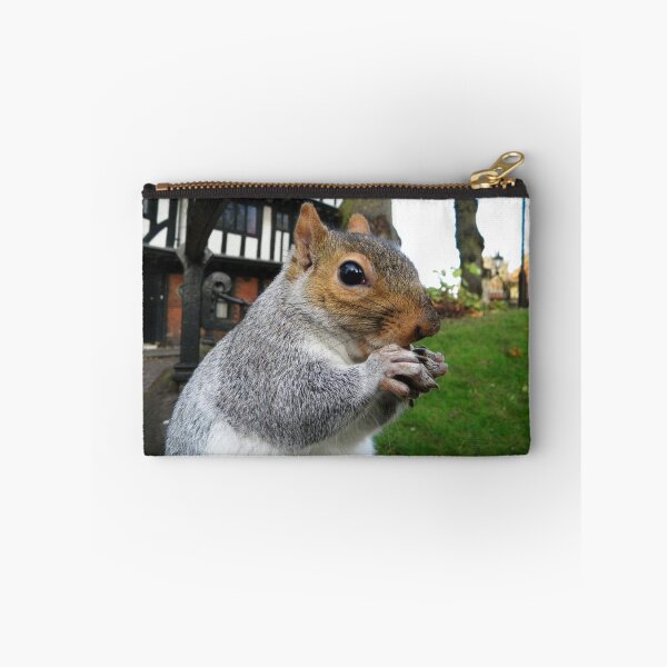 Item preview, Lunchtime Squirrel  designed and sold by WrenBellSaTea.