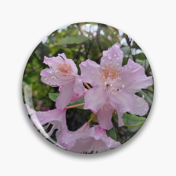 Item preview, Dew drop flower   designed and sold by AshleighJane95.
