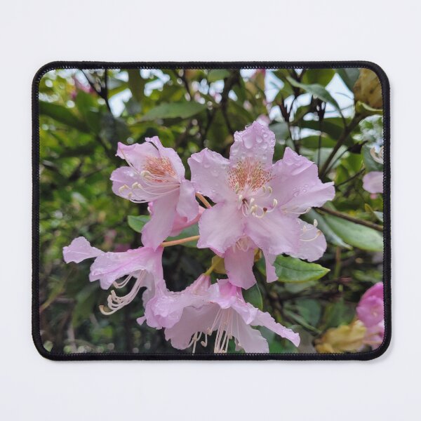Item preview, Dew drop flower   designed and sold by AshleighJane95.