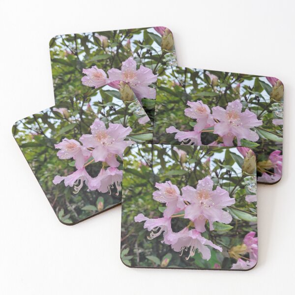 Item preview, Dew drop flower   designed and sold by AshleighJane95.