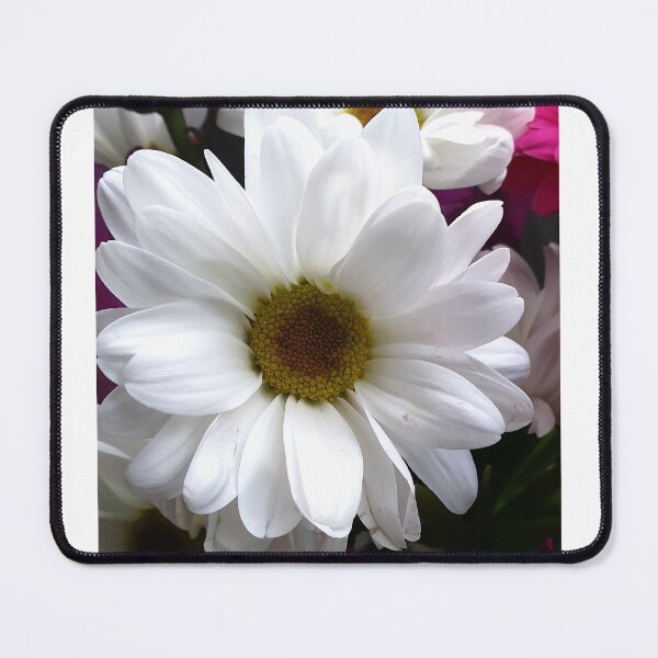Item preview, White Daisy designed and sold by AshleighJane95.