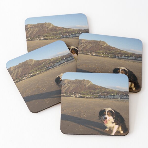 Item preview, Laddie says "Welcome to Llanfairfechan" designed and sold by Michael Haslam.