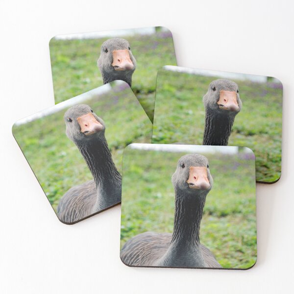 Item preview, Canada Goose Canadian Geese Wild Bird designed and sold by AndyEvansPhotos.