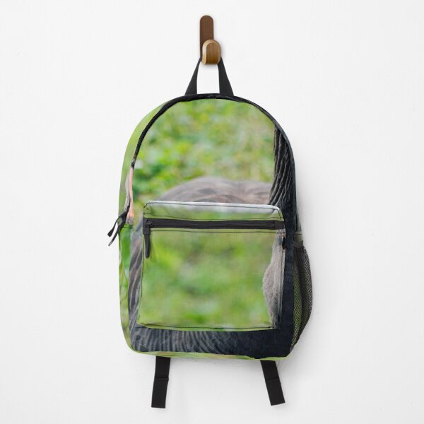 Item preview, Canada Goose Canadian Geese Wild Bird designed and sold by AndyEvansPhotos.