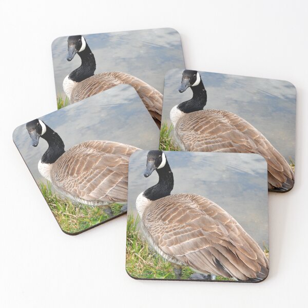 Item preview, Canada Goose Canadian Geese Wild Bird designed and sold by AndyEvansPhotos.