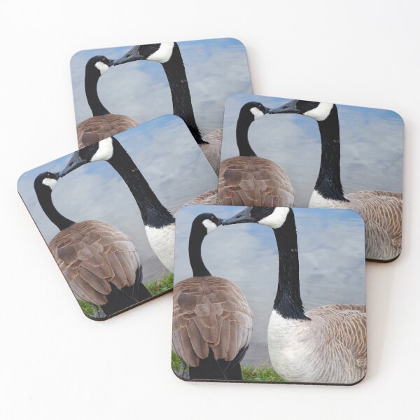 Item preview, Canada Goose Canadian Geese Wild Bird designed and sold by AndyEvansPhotos.