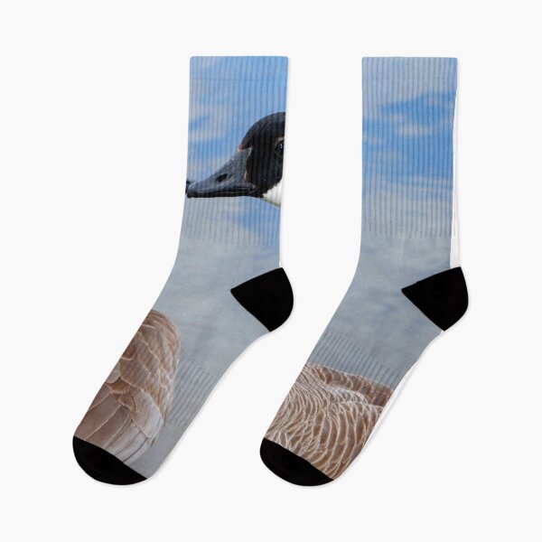 Item preview, Canada Goose Canadian Geese Wild Bird designed and sold by AndyEvansPhotos.