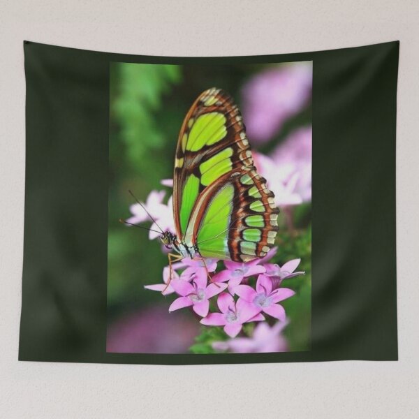 Item preview, mariposa verde en flor de pentas púrpura designed and sold by ritusdesigns.