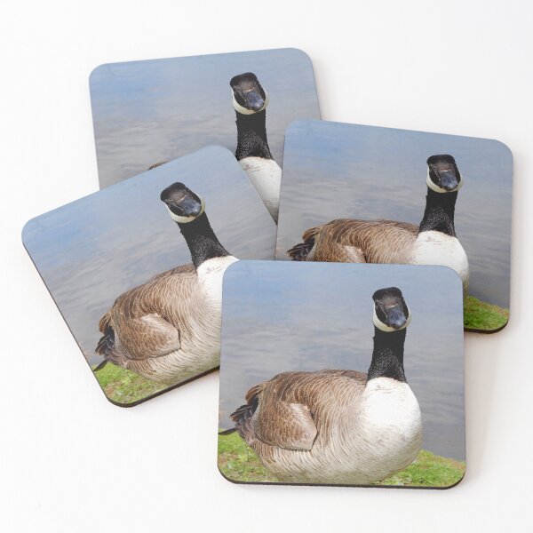 Item preview, Canada Goose Canadian Geese Wild Bird designed and sold by AndyEvansPhotos.