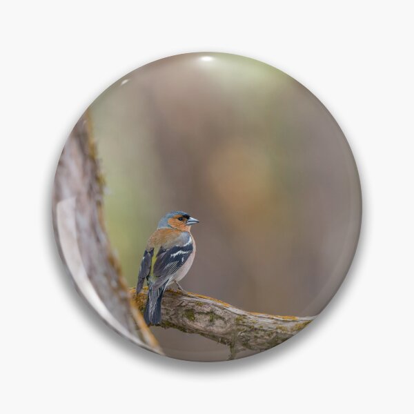Item preview, Chaffinch designed and sold by Puttaswamy Ravishankar.