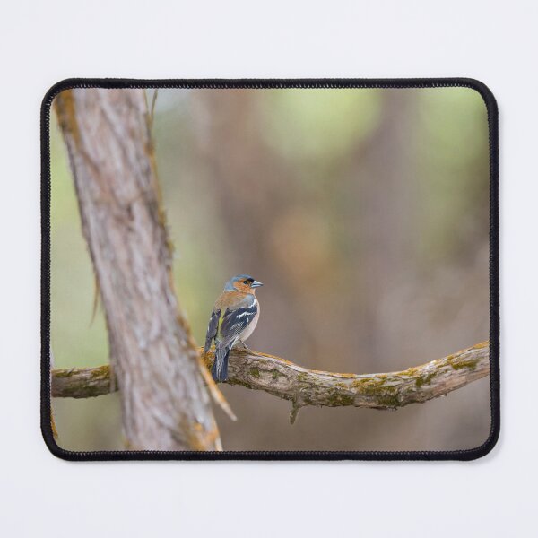 Item preview, Chaffinch designed and sold by Puttaswamy Ravishankar.
