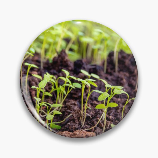 Item preview, Sprouting grass designed and sold by troianifabrizio.