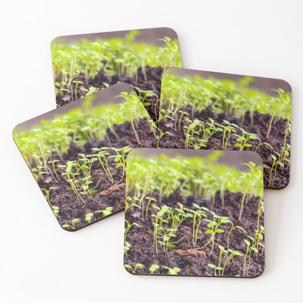 Item preview, Sprouting grass designed and sold by troianifabrizio.