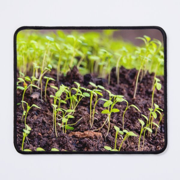 Item preview, Sprouting grass designed and sold by troianifabrizio.