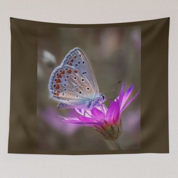 Item preview, apollo butterfly on thistle designed and sold by ritusdesigns.