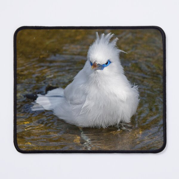 Item preview, Can't a Guy Bath in Private? designed and sold by Krys Bailey.