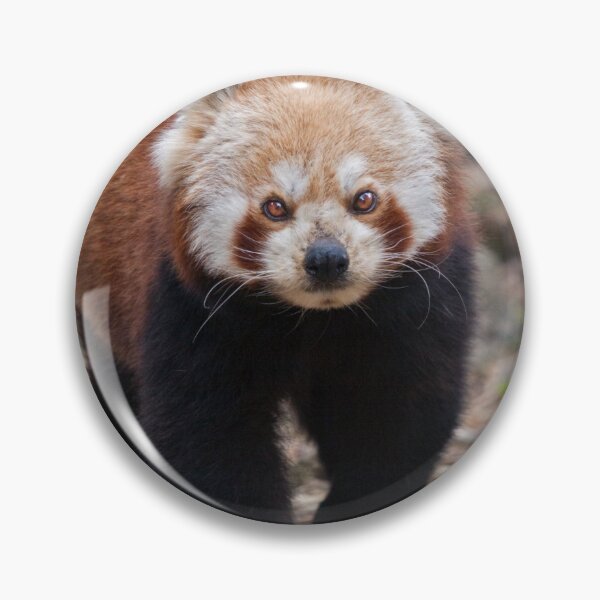 Item preview, Pandamonium designed and sold by Krys Bailey.