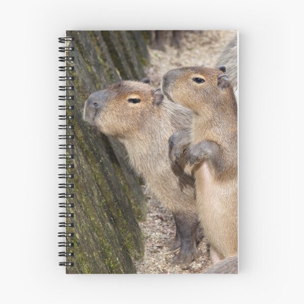Item preview, Cute Capys designed and sold by Krys Bailey.