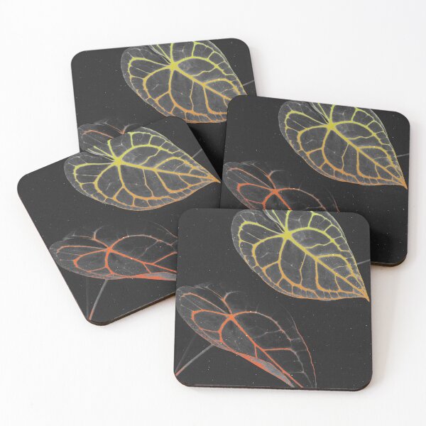 Item preview, Anthurium Clarinervium (Velvet Cardboard) Rugged Texture Gradient designed and sold by plantsbutbetter.