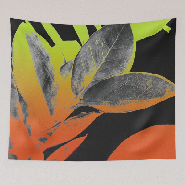 Item preview, ZZ Plant (Zamioculcas Zamiifolia) Rugged Gradient plantsbutbetter designed and sold by plantsbutbetter.