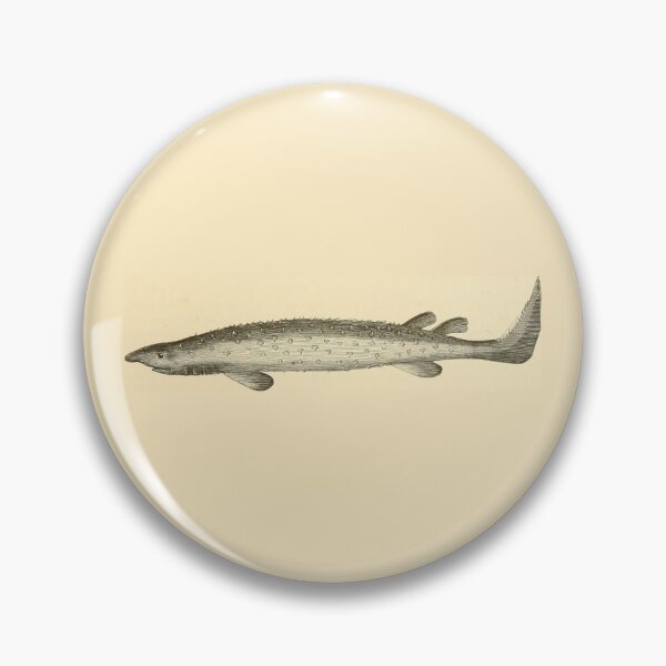 Item preview, Vintage Fish Illustration designed and sold by gildedfinches.