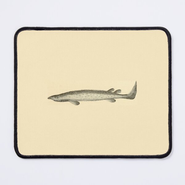 Item preview, Vintage Fish Illustration designed and sold by gildedfinches.