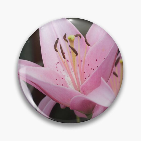 Item preview, Daylilies designed and sold by lghtwrkr.