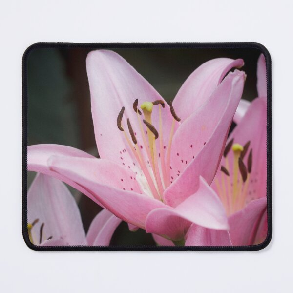 Item preview, Daylilies designed and sold by lghtwrkr.