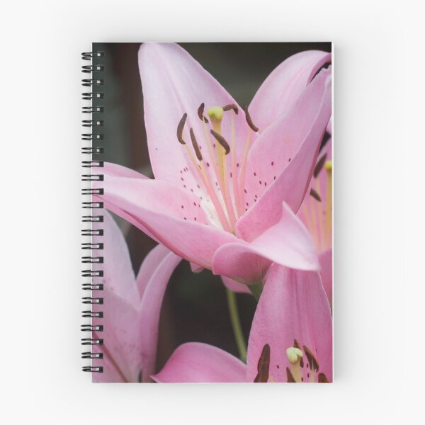 Item preview, Daylilies designed and sold by lghtwrkr.