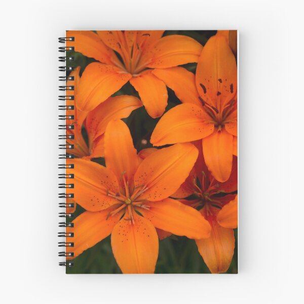 Item preview, Daylilies designed and sold by lghtwrkr.