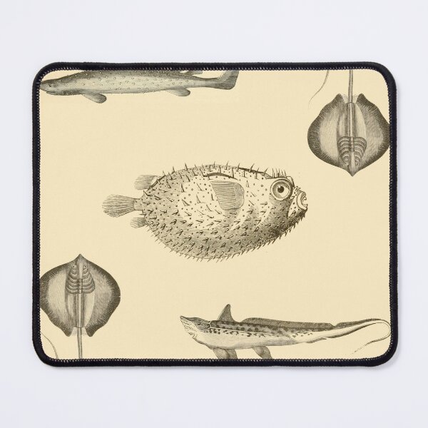 Item preview, Vintage Fish Illustration designed and sold by gildedfinches.