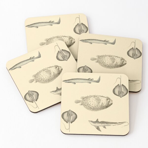 Item preview, Vintage Fish Illustration designed and sold by gildedfinches.
