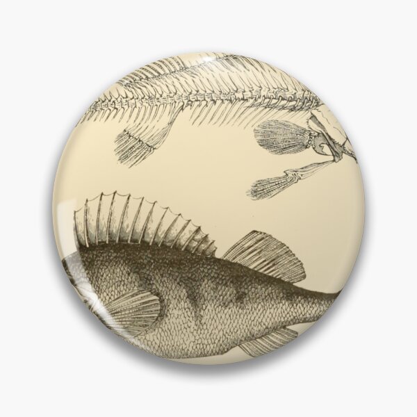 Item preview, Vintage Fish Illustration designed and sold by gildedfinches.