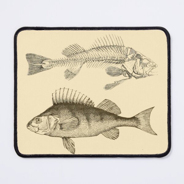 Item preview, Vintage Fish Illustration designed and sold by gildedfinches.