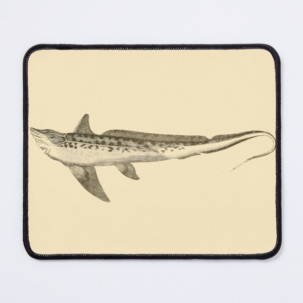 Item preview, Vintage Fish Illustration designed and sold by gildedfinches.