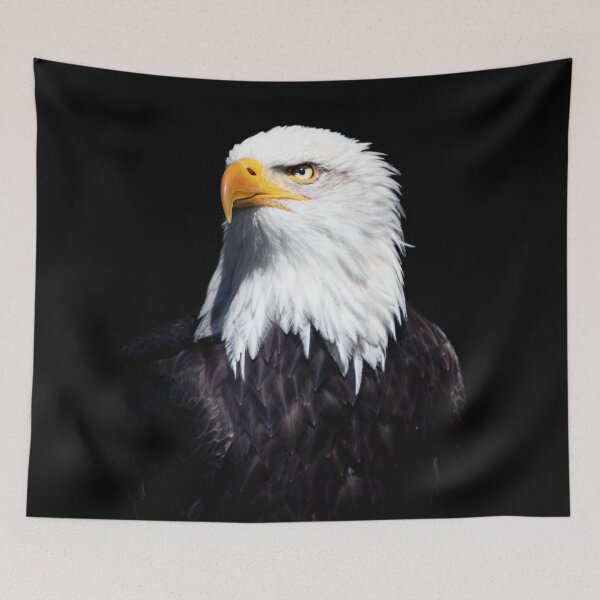 Item preview, American bald eagle designed and sold by Koolmees.