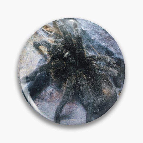 Item preview, Brazilian Salmon Pink Bird-Eating Tarantula designed and sold by FeralMinds.